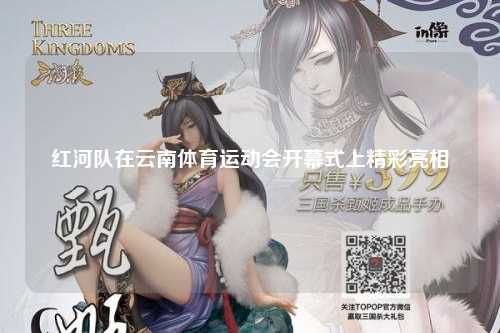 红河队在云南体育运动会开幕式上精彩亮相