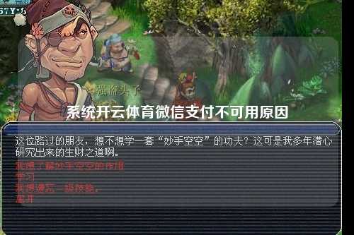 系统开云体育微信支付不可用原因