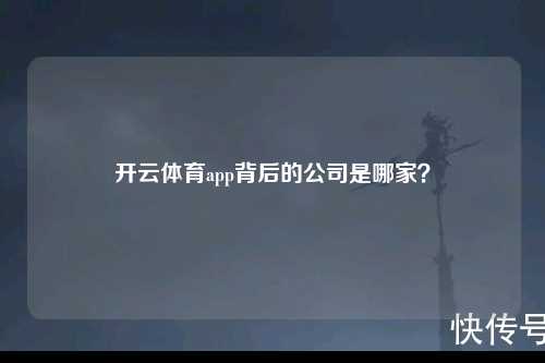 开云体育app背后的公司是哪家？
